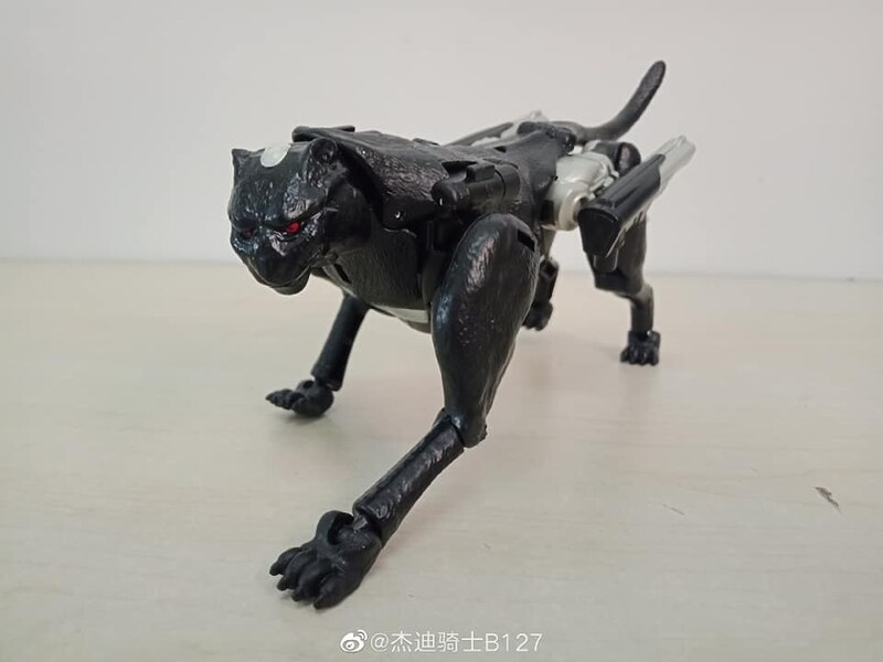 MORE Transformers Agent Ravage Images Cheetor Compared  (3 of 67)